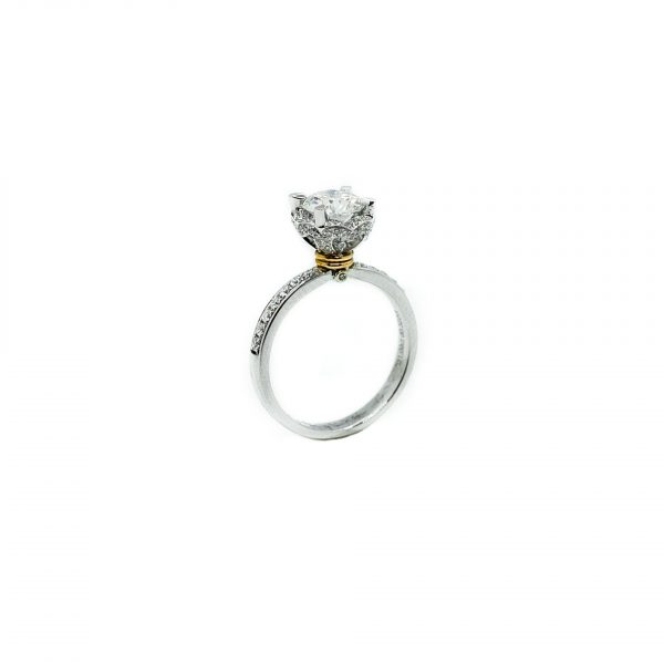 Ringer med Lab Grown Moissanite diamant